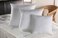 Poly Cotton Scatter Cushion 